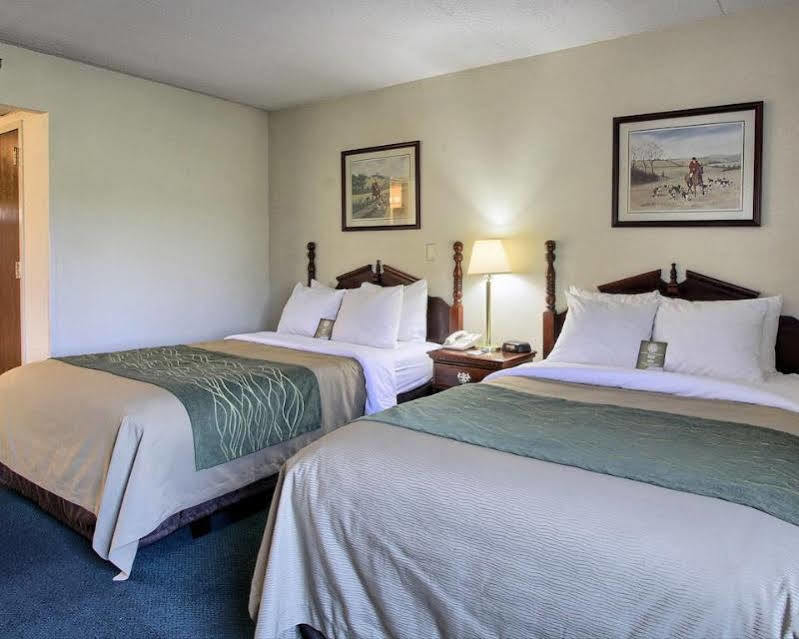 Hotel Super 8 By Wyndham Chambersburg I-81 Exterior foto